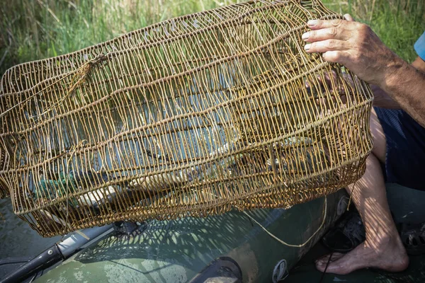 Halász Előhúzza Halat Tetejéről Horgászfelszerelés Nyár Magassága Pihenés Folyón Nyaralás — Stock Fotó