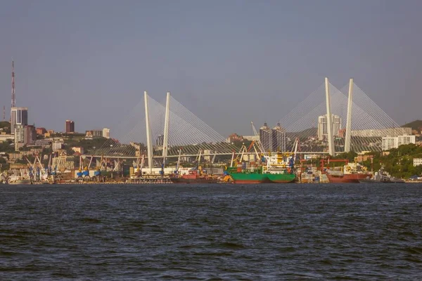 Büyük Ticari Liman Sea Bay Uzakta Kablo Destekli Köprü Modern — Stok fotoğraf