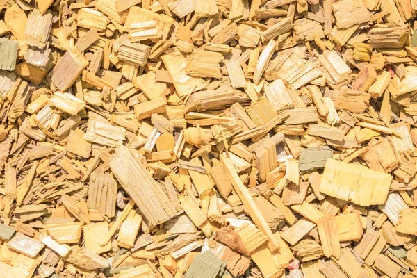 Małe Kawałki Naturalnego Drewna Odpady Tartaku Jasnożółty Piaszczysty Odcień Oświetlenie — Zdjęcie stockowe