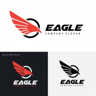 Logo, kuş logo koymak, Falcon logosu, Hawk logo vektör logo şablonu kartal.