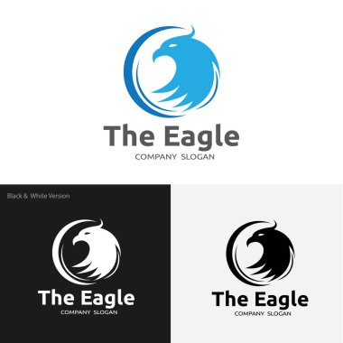 Logo, kuş logo koymak, Falcon logosu, Hawk logo vektör logo şablonu kartal
