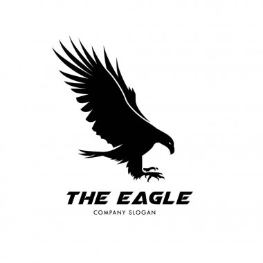 Logo, kuş logo koymak, Falcon logosu, Hawk logo vektör logo şablonu kartal.