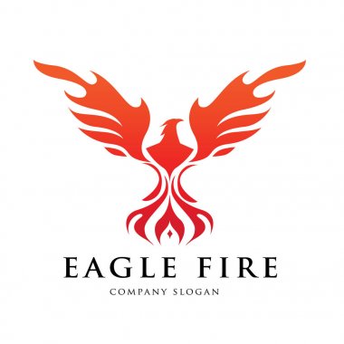 Logo, kuş logo koymak, Falcon logosu, Hawk logo vektör logo şablonu kartal.