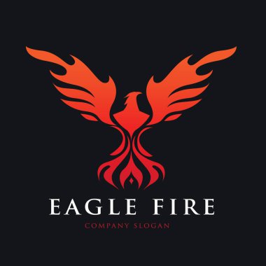 Logo, kuş logo koymak, Falcon logosu, Hawk logo vektör logo şablonu kartal.