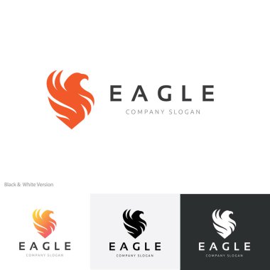 Logo, kuş logo koymak, Falcon logosu, Hawk logo vektör logo şablonu kartal 