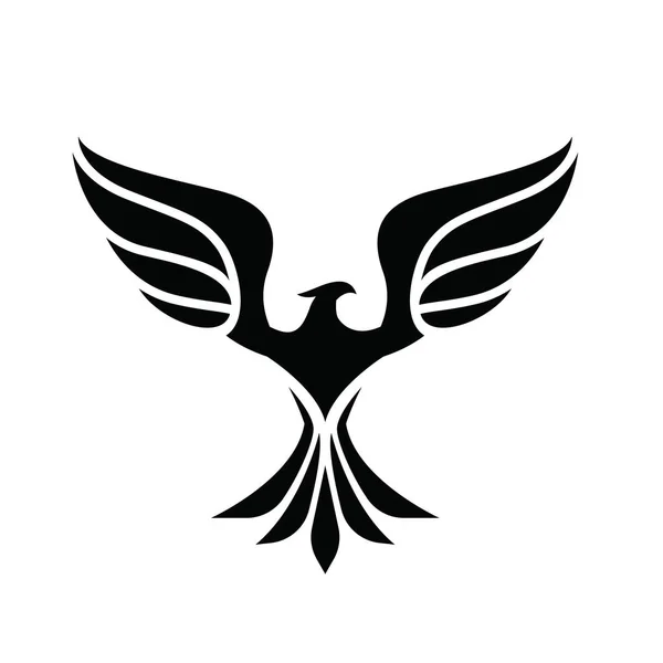 Logo de águila, conjunto de logotipo de pájaro, logotipo de halcón, logotipo de halcón, plantilla de logotipo de vector . — Vector de stock