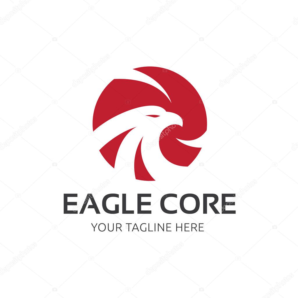 Eagle Logo, Bird logo set, Falcon logo, Hawk logo, Vector logo template.