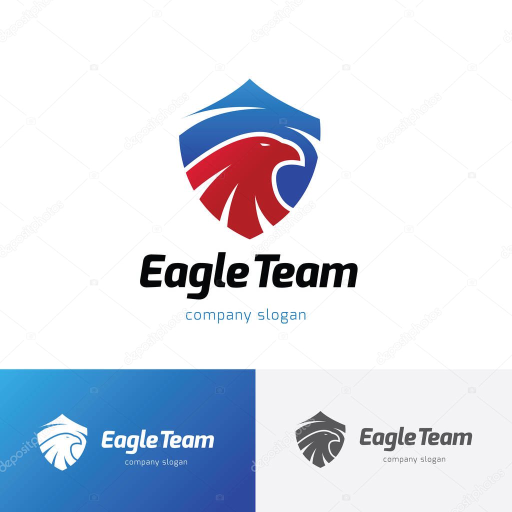 Eagle Logo, Bird logo set, Falcon logo, Hawk logo, Vector logo template