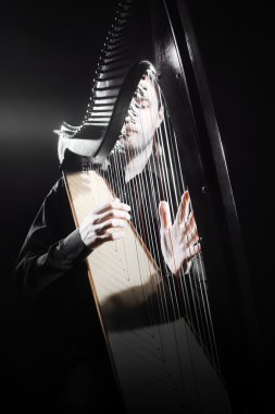 Harpçı. Klasik müzisyen