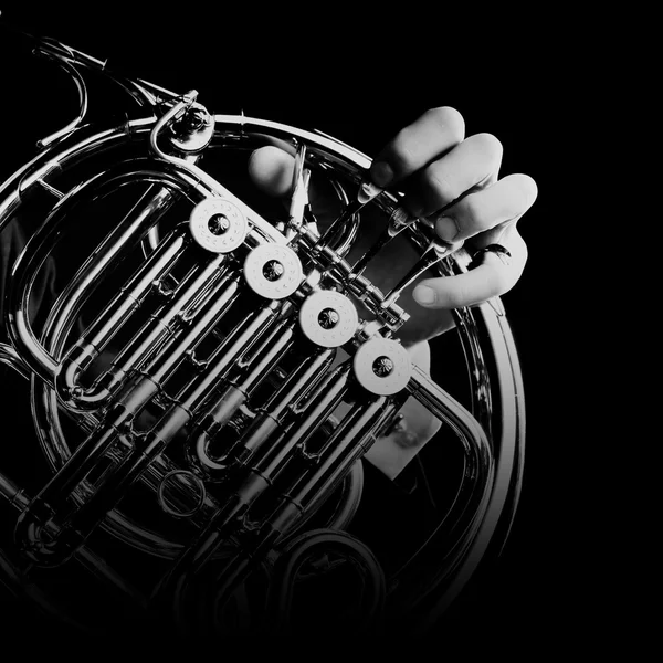 French horn music instrument closeup — Stock Photo, Image