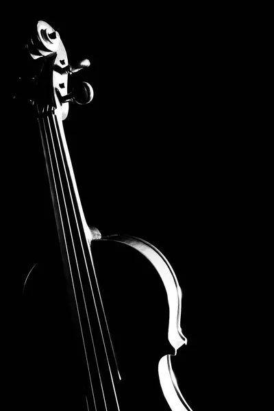 Violon instruments de musique isolés — Photo