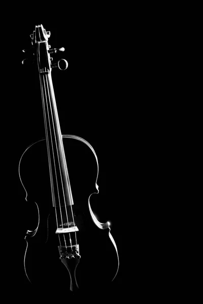 Instrumentos musicales de violín aislados — Foto de Stock
