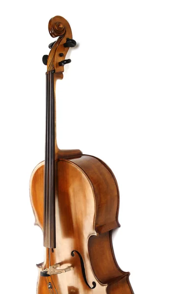 Βιολοντσέλο απομονωμένη μουσικά όργανα βιολοντσέλο — Φωτογραφία Αρχείου