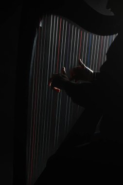 Harpçı. İrlandalı Arpçı dizeleri eller