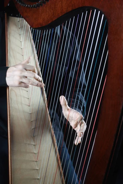 Harp player. Harpist hands playing Irish harp strings