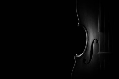 Keman closeup Orkestrası müzik aletleri