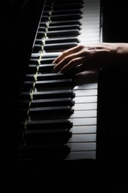 Piyano çalar. Piyanist elleri kuyruklu piyano müzik çalma