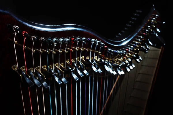 Primer plano de cuerdas de instrumentos de arpa. Música irlandesa de arpa —  Fotos de Stock