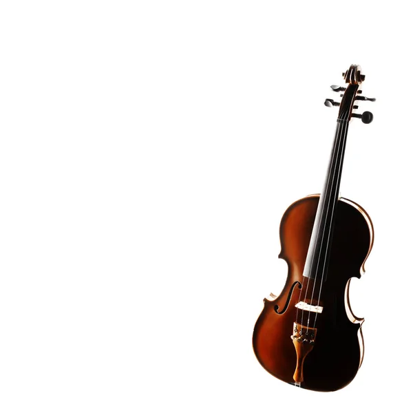 Violino isolato su bianco — Foto Stock