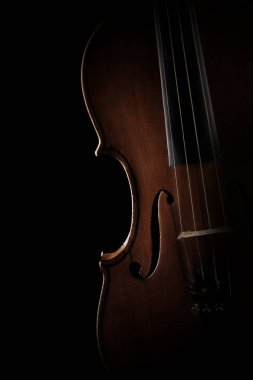 Keman closeup müzik aletleri Orkestrası