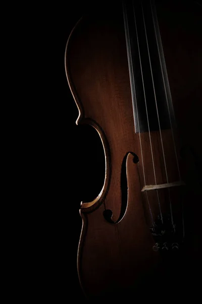 Скрипка крупным планом Музыкальные инструменты оркестра — стоковое фото