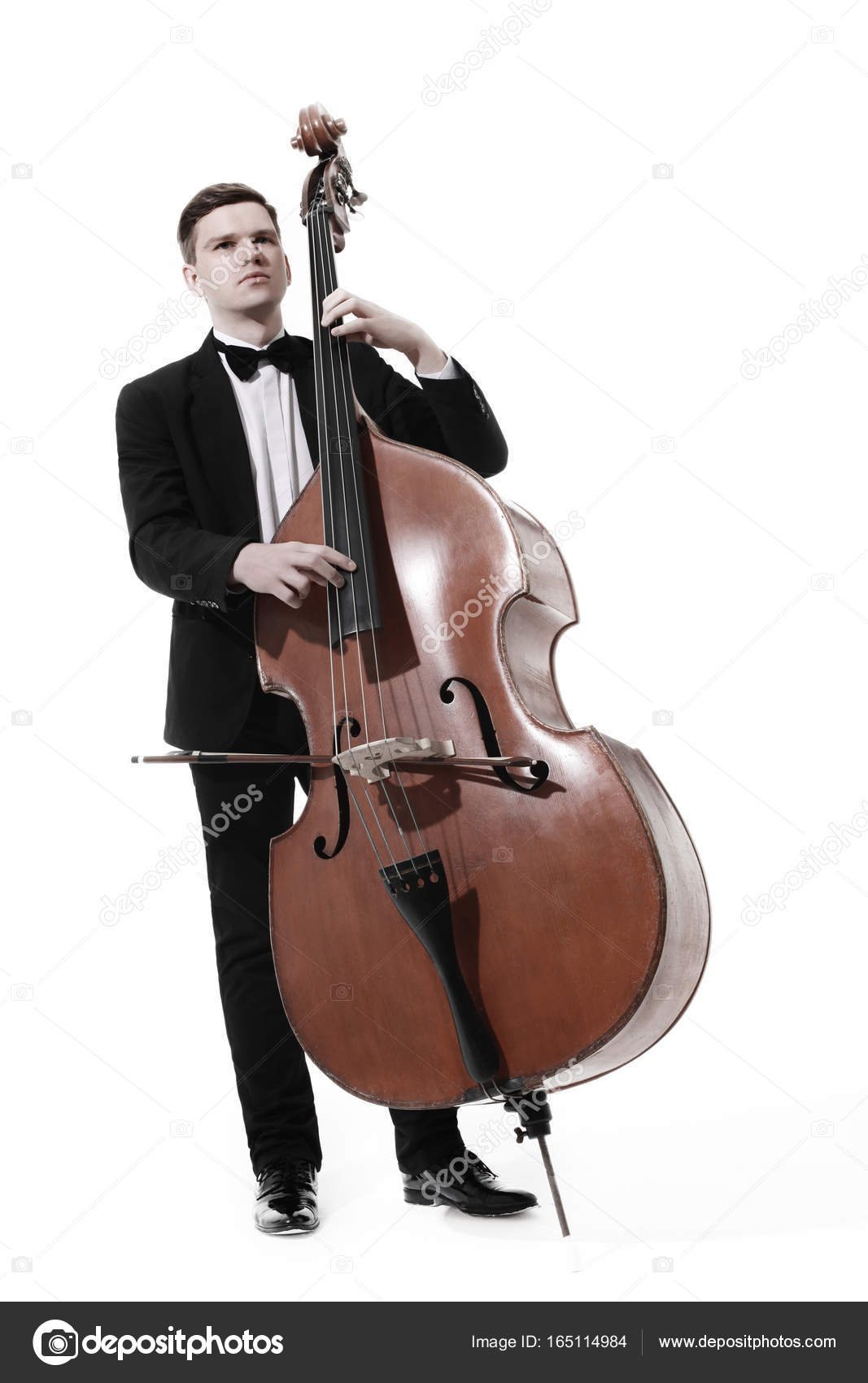 double bass photography