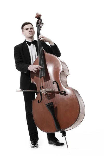 Double bass player playing contrabass — Stock Photo, Image