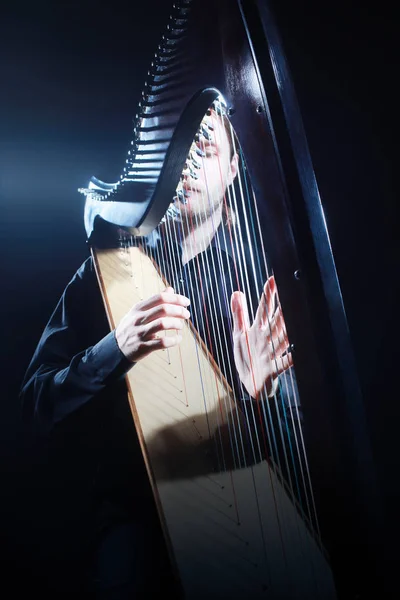 Harp player. Classical musician