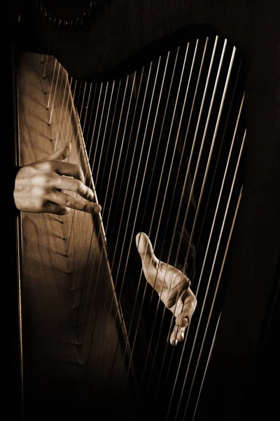 Harpa strängar närbild händer — Stockfoto
