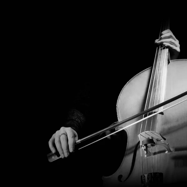 Cellist spielt Cello mit Bogen — Stockfoto