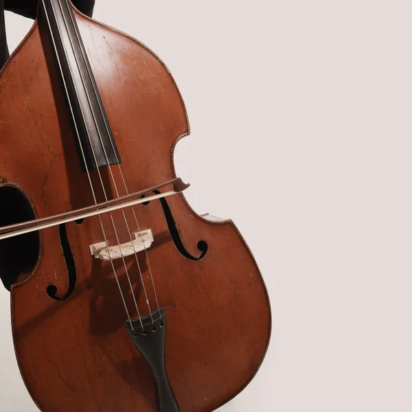 Doble bajista Manos tocando contrabajo — Foto de Stock