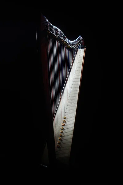 Harpa instrument. Musik på irländsk harpa — Stockfoto