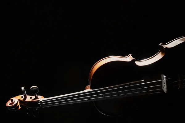Keman Orkestrası müzik enstrümanı izole — Stok fotoğraf