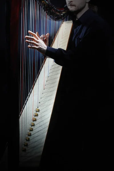 Instrumentos de harpa cordas close-up — Fotografia de Stock