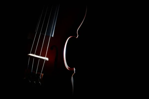 Viool orkest muziekinstrumenten — Stockfoto
