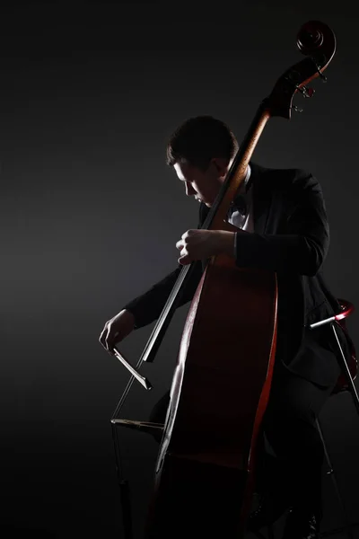 Double bass player contrabass playing