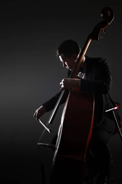 Double bass player contrabass playing Stock Image