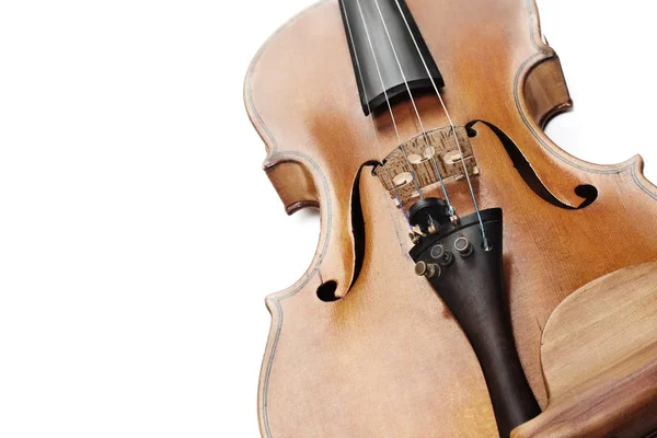 Violin närbild. Närbild violin isolerad på vit — Stockfoto