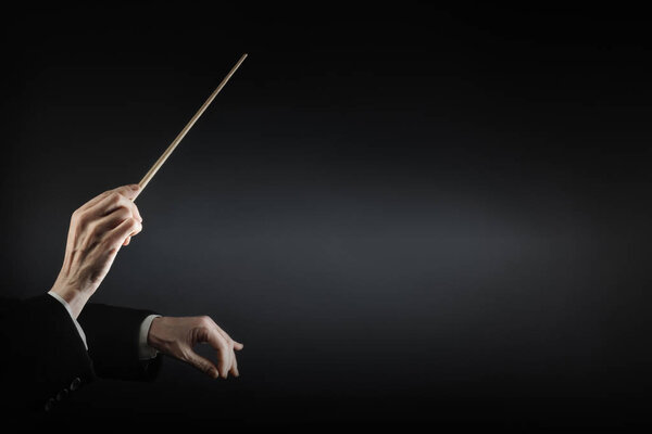 Orchestra conductor music conducting. Hands conductor baton