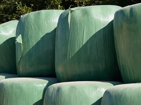 Bales of hay wrapped in plastic — Stock Photo, Image