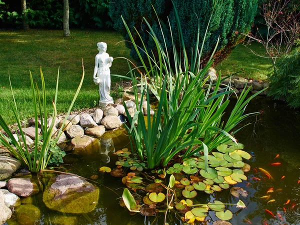 美丽的古典花园鱼池塘园艺背景 — 图库照片