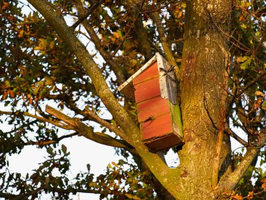 Renkli yaratıcı iç içe geçmiş kutusu