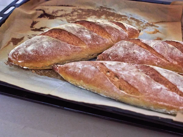 유명한 이탈리아 Ciabatta 빵 — 스톡 사진
