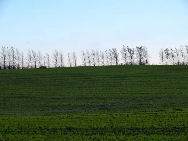 Paesaggio di campi verdi e un cielo drammatico — Foto Stock