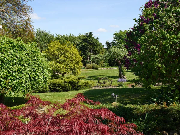 夏天的传统英国花园 — 图库照片