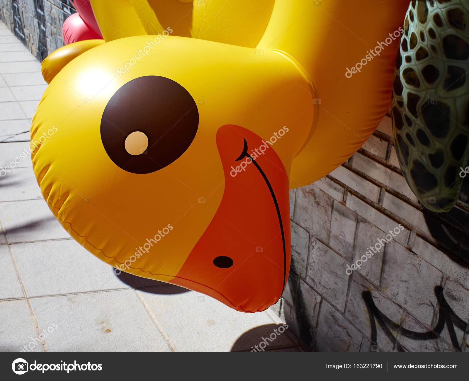 inflatable pool duck