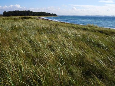 Güzel sahil hattı beach Danimarka