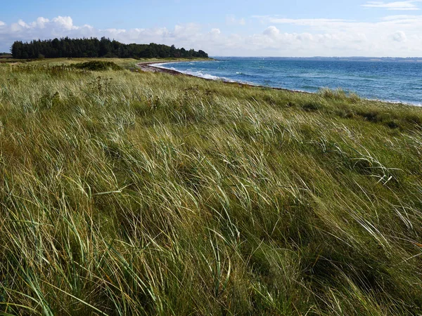 Güzel sahil hattı beach Danimarka