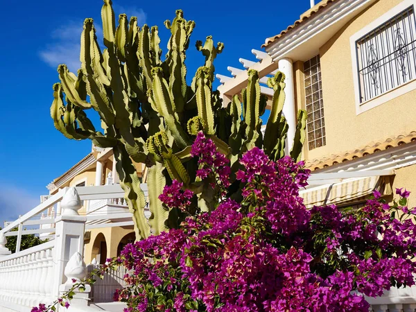 Casa de estilo espanhol tradicional imobiliário Espanha — Fotografia de Stock