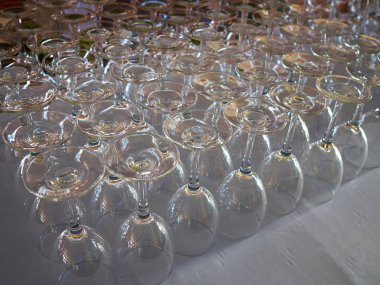 Şarap gözlük koleksiyonu